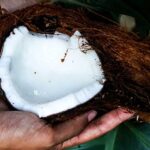 öppnad kokosnöt mellan två händer