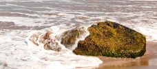 sten som översköljs av vatten på en strand
